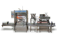 女性護(hù)理液灌裝機